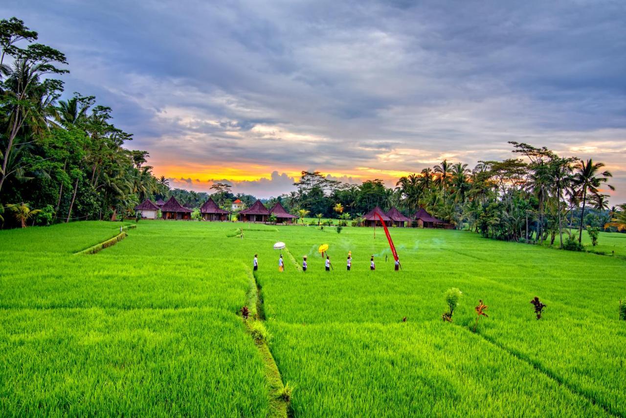 Intan Villa Moding Ubud Exteriör bild
