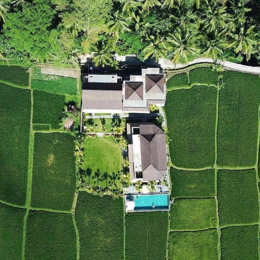 Intan Villa Moding Ubud Exteriör bild